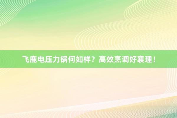 飞鹿电压力锅何如样？高效烹调好襄理！